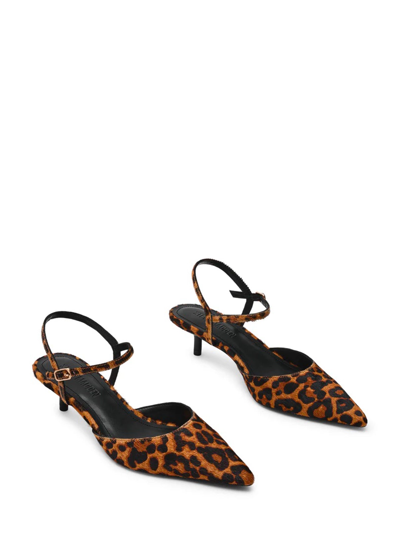 ADELAIDE-L LEOPARD