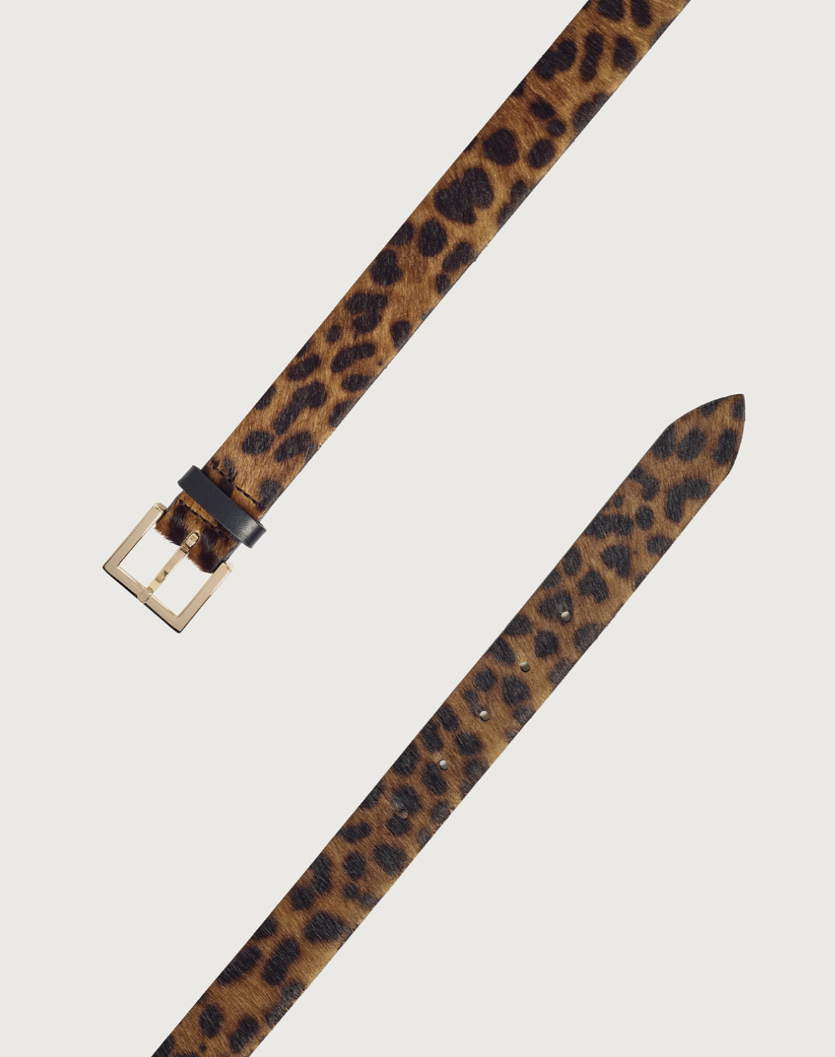 Cintura Leo in cavallino 3 cm
